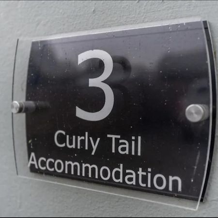 Curly Tail Accommodation 비숍캐슬 외부 사진